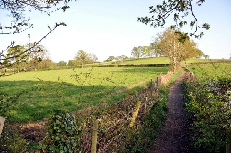 View from Blundel Lane 3
